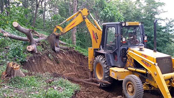 Moving the big timber