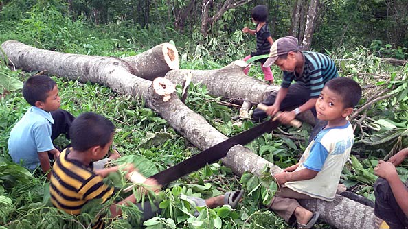 Kids working with cross cut saw
