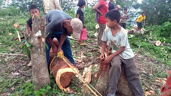 Hitching up the bigger logs